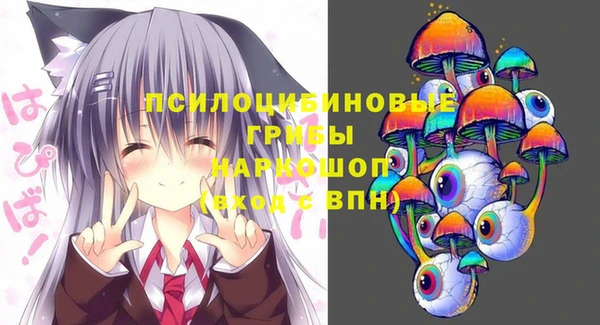 твердый Заводоуковск