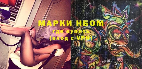 сатива Елабуга