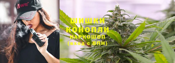 дмт Ельня